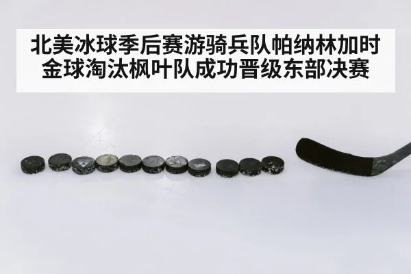 北美冰球季后赛游骑兵队帕纳林加时金球淘汰枫叶队成功晋级东部决赛